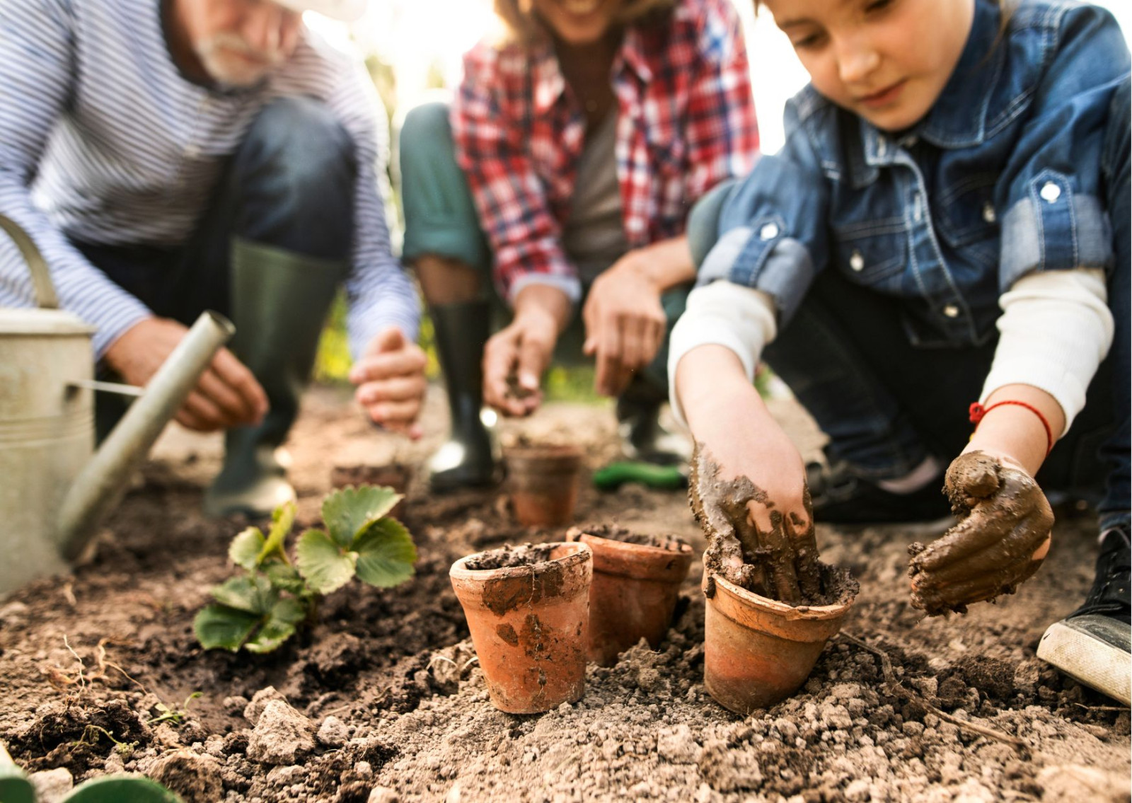 Gartenarbeit Canva freie Nutzung