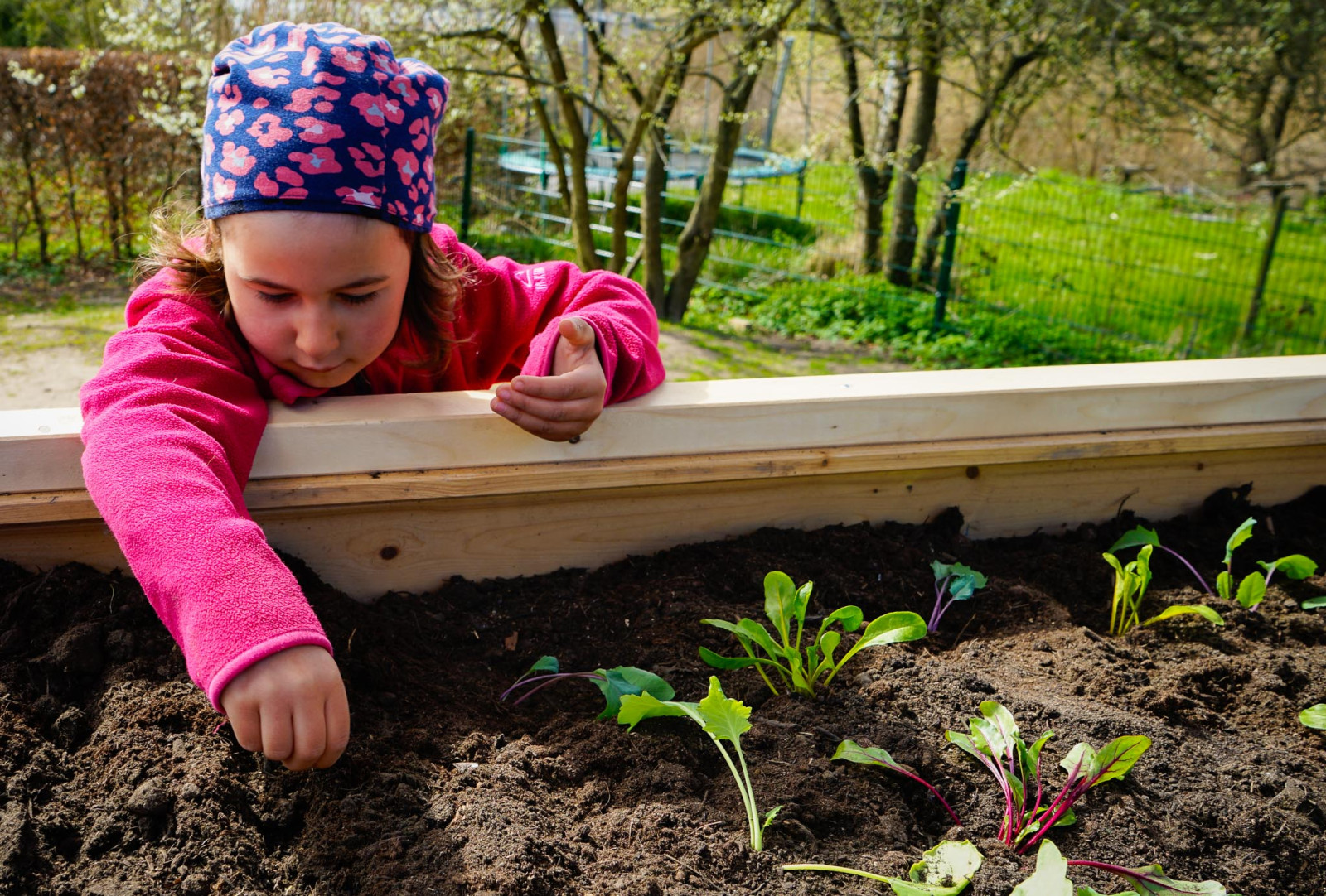 Gartenworkshop